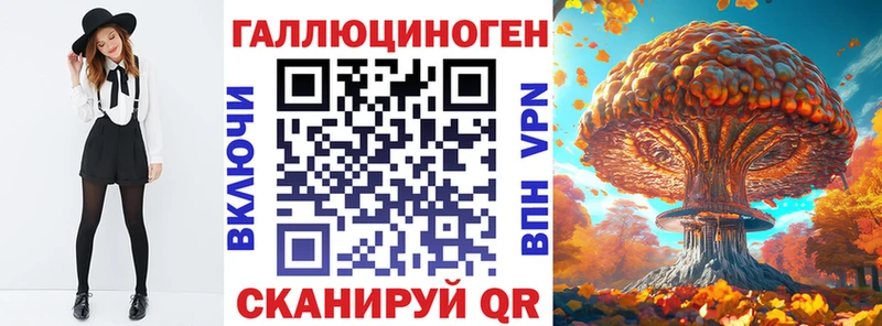 Псилоцибиновые грибы Psilocybe  Купить  Сальск 